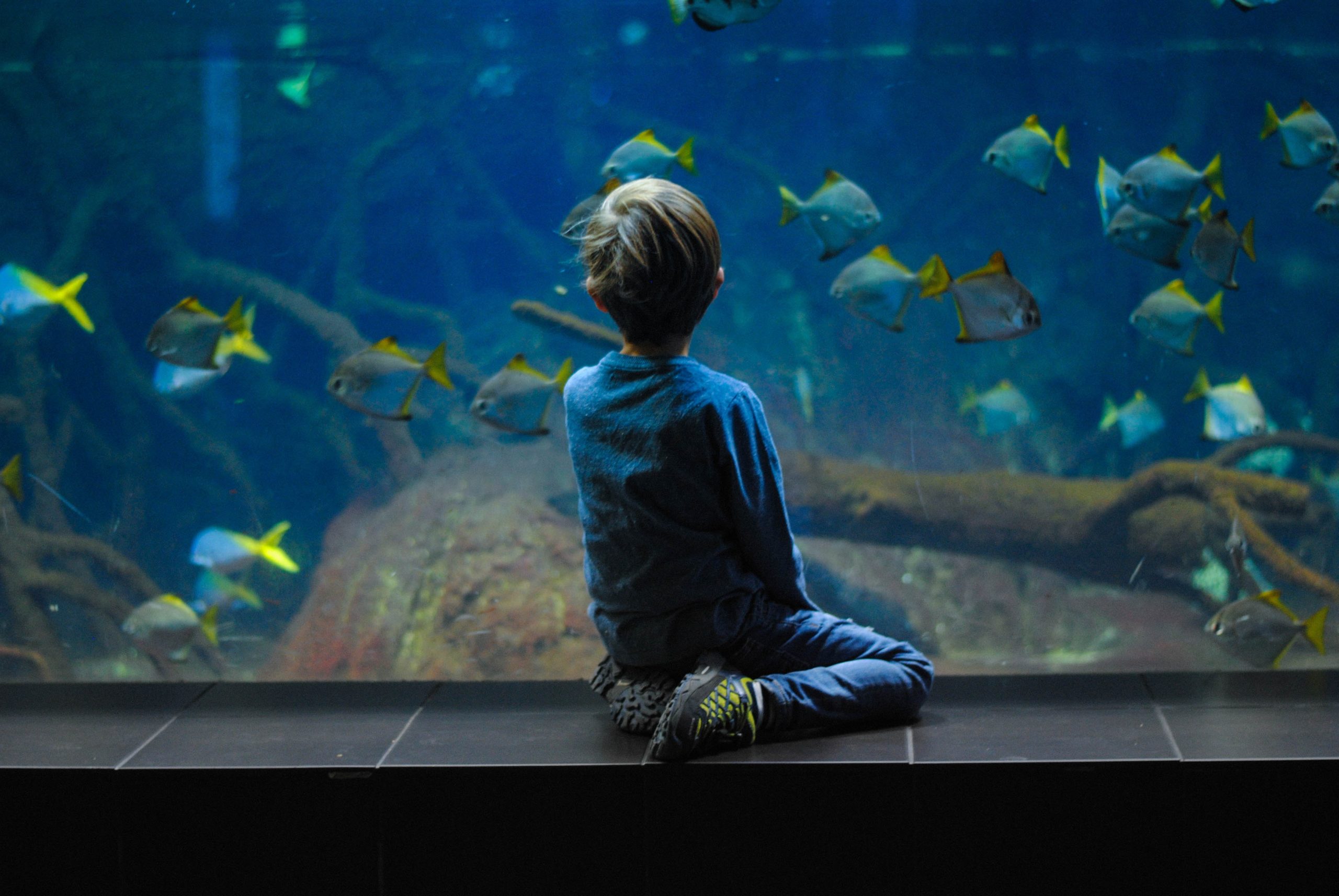 Kid with Fish Tank